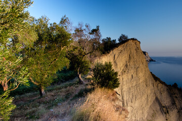 Majestic hills of Corfu covered by ancient olive trees
