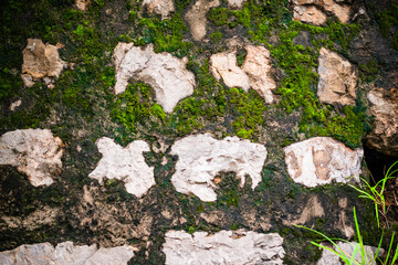 Wall Background and Texture