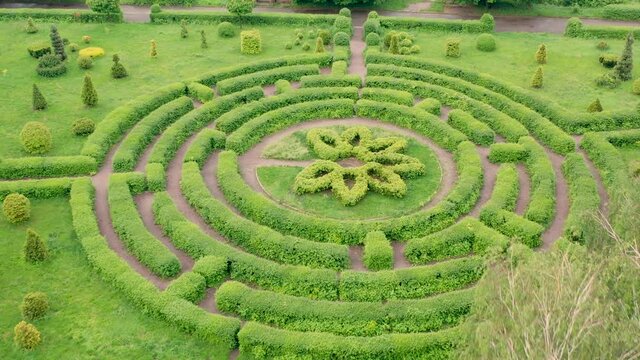 Topiary garden in the botanical garden of Kiev.