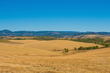 Fototapeta na wymiar The late summer landscape near Scansano, Grosseto Province, Tuscany, Italy 
