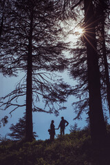 silhouette of couple in a forest
