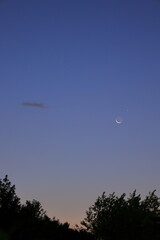 千里川の土手　伊丹　兵庫　日本