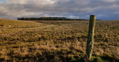 scenic view of  a woodland across parkland with a single leaning moss and lichen covered fence post...