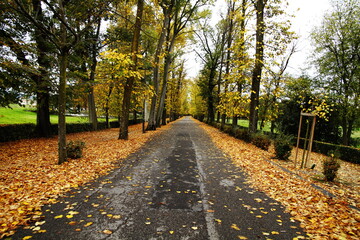 autumn in Italy