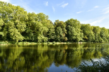 Fototapeta na wymiar Reflet majestueux des arbres au Grand Canal du parc d'Enghien en Hainaut 