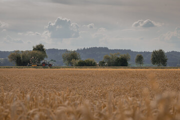 Fototapeta premium Feld mit Traktor