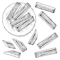 Collection of vector crab sticks. Surimi appetizer set, artificial imitation. Hand-drawn sketches. Vintage style engraving. Isolated objects on a transparent background 