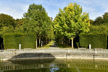Fototapeta na wymiar Deux rangées d'arbres le long d'une allée au Jardin du Pavillon des Sept Etoiles au parc d'Enghien en Hainaut !