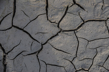 cracked soil texture
