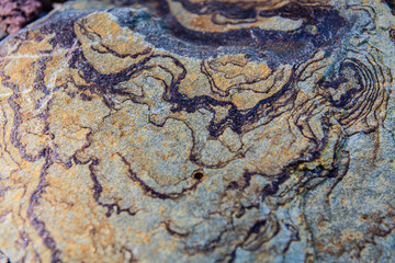 texture of the stone