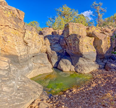 MC Canyon Reflections