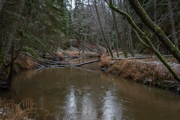 in winter a river in the woods with trees in the water