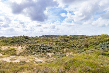 Landscape Nationaal Park Hollandse Duinen with dunes under a clouded sky