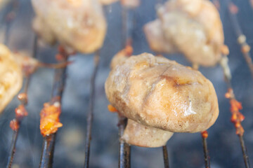 Pickled mushrooms are cooked on the grill on coals