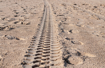 Tire marks on the sand