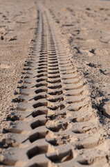 Tire marks on the sand