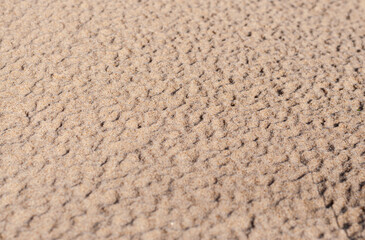 Natural Sand Untouchable Texture