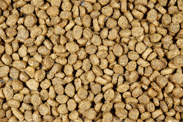 dry food for dogs and cats texture