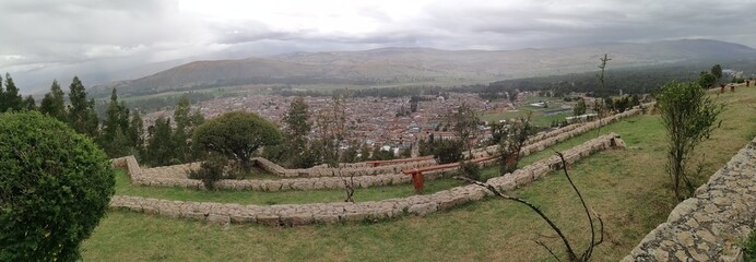 vineyard in the morning