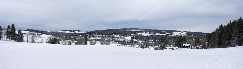Fototapeta na wymiar Hinterzarten in Deutschland im Winter