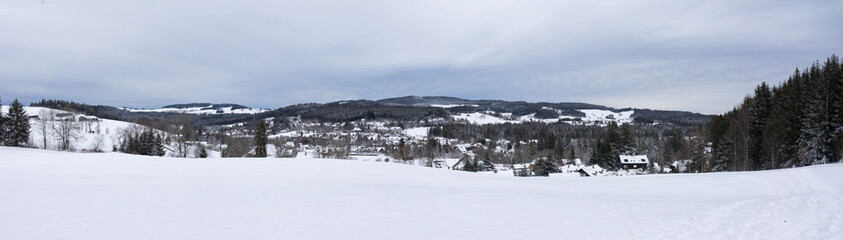 Fototapeta na wymiar Panorama Hinterzarten im Schwarzwald mit Schnee