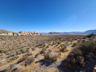 Autumn desert colors in Red Rocks. 