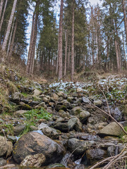 forest, nature, tree, trees, water, stream, woods, landscape, river, wood, green, path, autumn, creek, spring, mountain, rocks, rock, moss, stone, summer, fall, environment, brook, trail