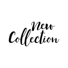 New collection. Lettering. Ink illustration. Modern brush calligraphy Isolated on white background