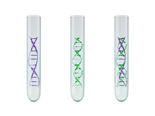 Three test tubes with DNA spirals violet, green and mixed. Research concept for genetic modification. 3d rendering