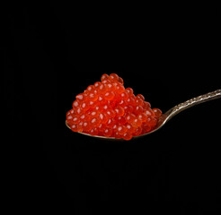 fresh grainy red chum salmon caviar in a metal spoon