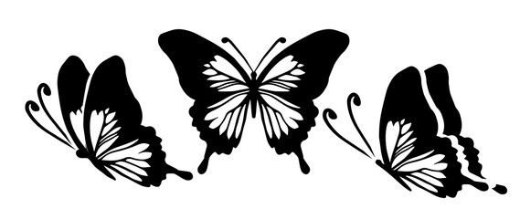 Graphic flying black and white butterflies. Vector illustration. Tropical butterfly on a white background