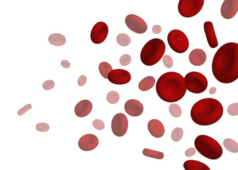 Erythrocytes. Red blood cells on a white background.