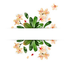 Orchid leaves and flowers creative layout.