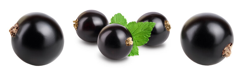 black currant with leaves isolated on white background with clipping path and full depth of field. Set or collection