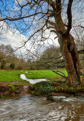 Image of a stream culvert with meadow and trees on a winter day with clouds and some blue sky