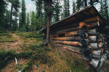 Wide-angle autumn shot in a deep conifer taiga forest of Sayan mountains of a dugout cabin as a...