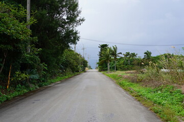 南の島の長閑な一本道