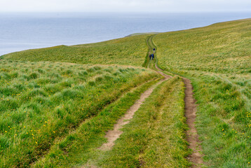 Hiking trails in verdant green path on remote Grimsey Island, Iceland