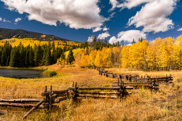 Obraz premium autumn landscape with fence