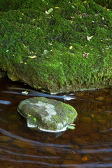 Walden Beck near West Burton Falls, North Yorkshire, England