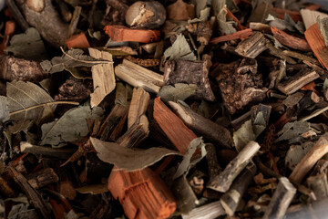 Textura de diversas plantas y hierbas secas 