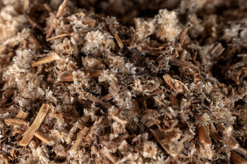 Textura de diversas plantas y hierbas secas 