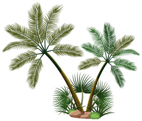 Obraz premium Two palm trees with nature elements on white background