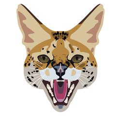 Stylized face of serval. Flat cartoon style. Angry wild cat with open mouth. © Olena