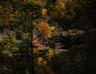 Katerskill mountain Fall scenery 