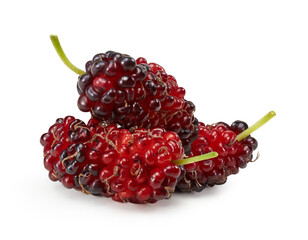 Organic mulberry fruits isolated on white background.