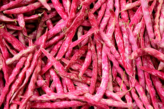 Fresh raw pink speckled Borlottti string bean pods in a farmers market, Istanbul, Turkey