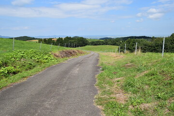 山岳道路 山形県
