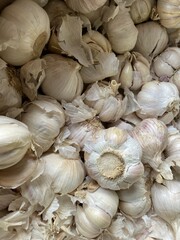 close up fresh garlic in market