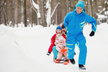 Fototapeta na wymiar Dad sledges family in winter in the snow
